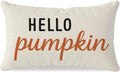 Fall Throw Pillow Covers 12X20, Fall Decorations for Home